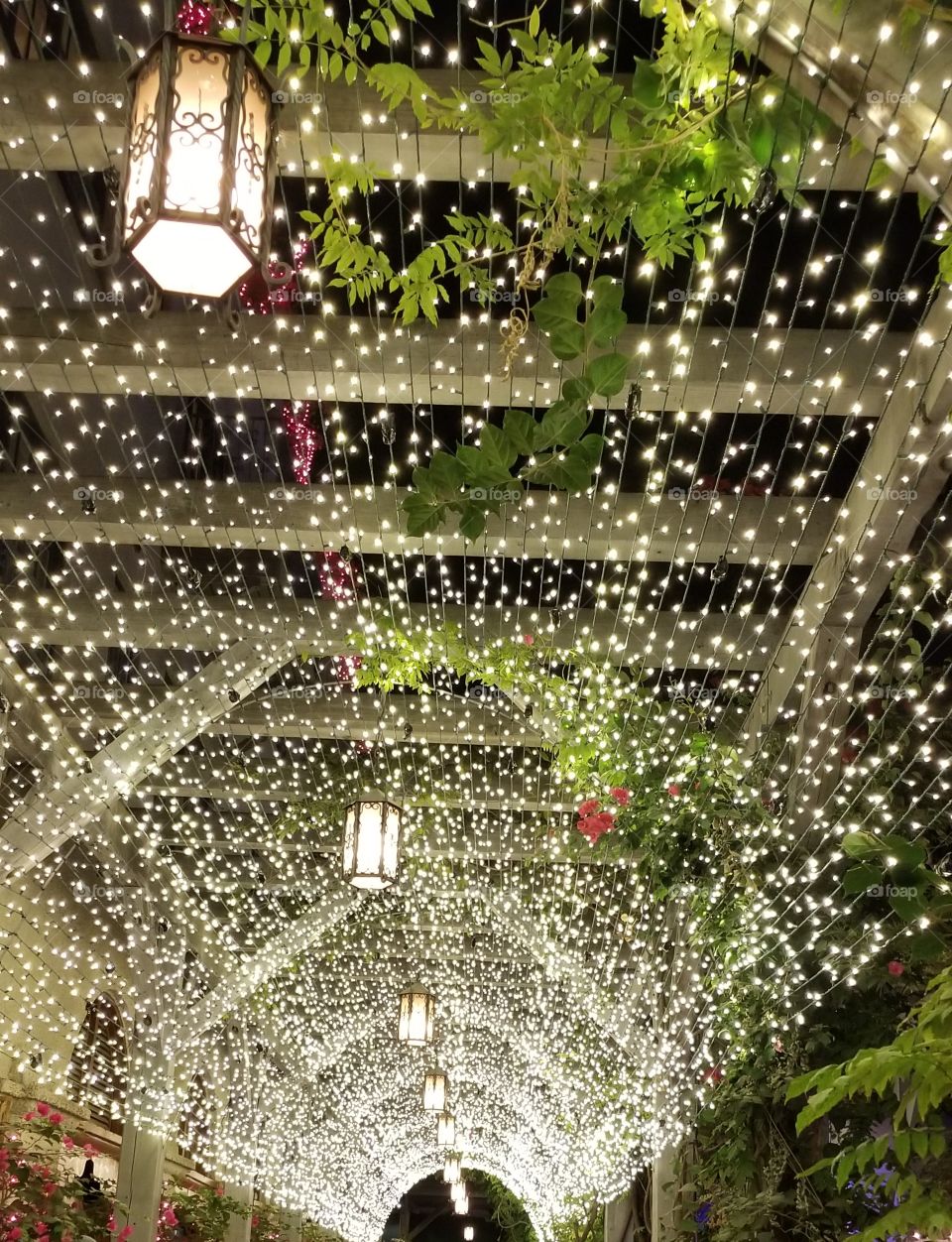 christmas festival of lights walkway ceiling