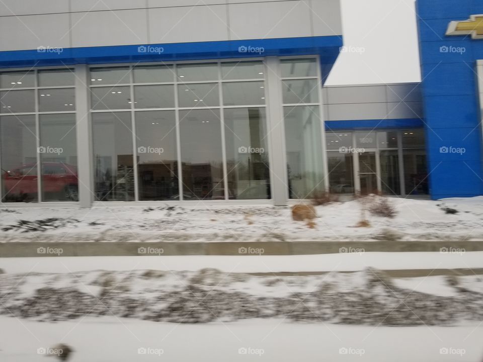 Window, Winter, House, Snow, Daylight