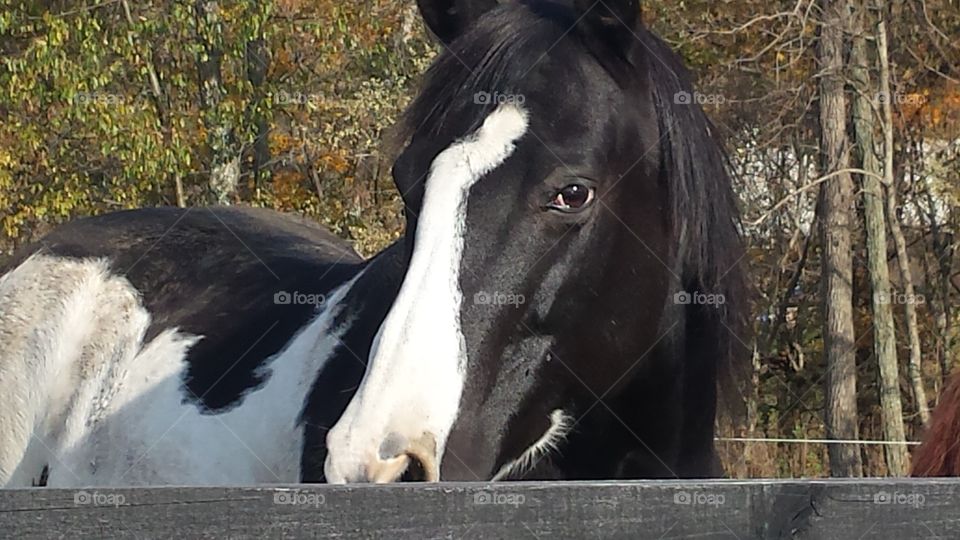 Here's looking at you, kid