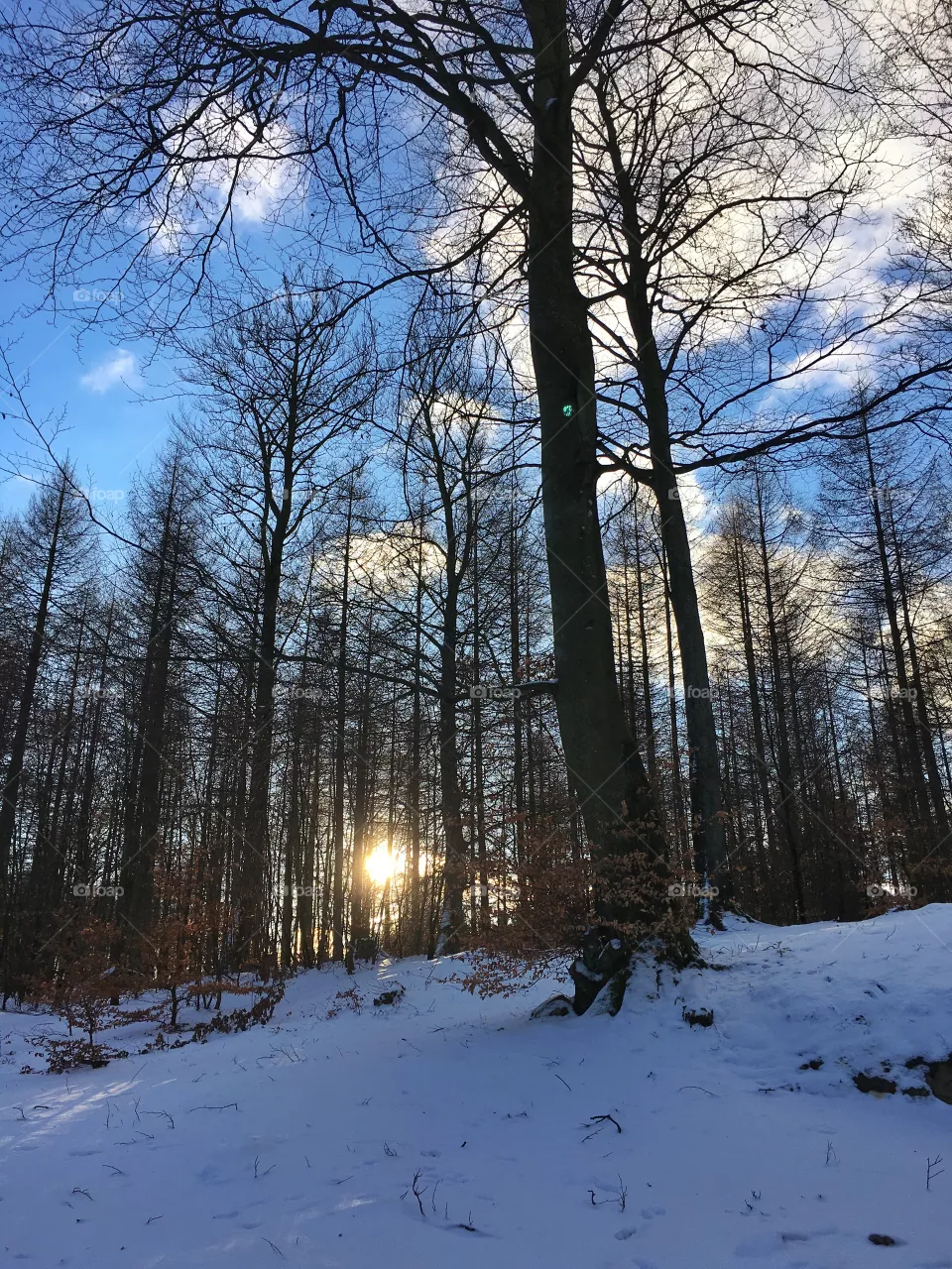 Winter 