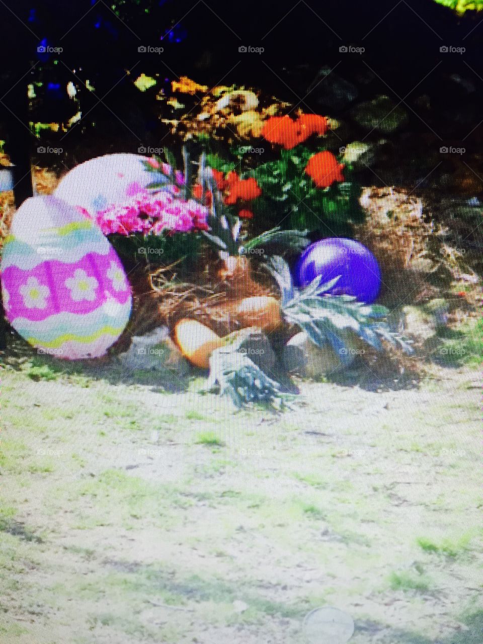 Large blow up Easter eggs and decorations outside.