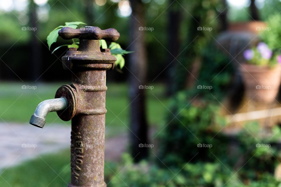 An old water spigot