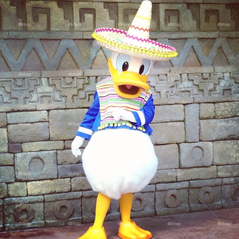 Donald Duck