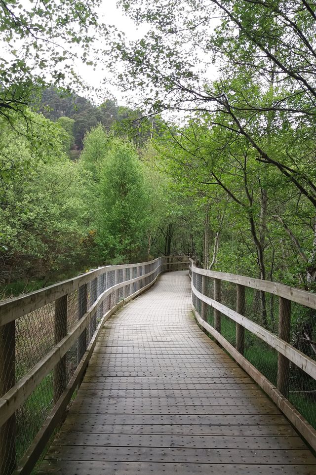 Green Way