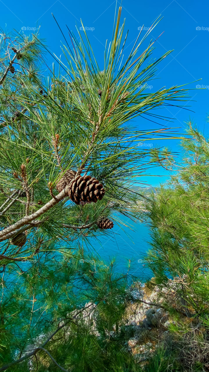 Beautiful view on the sea 