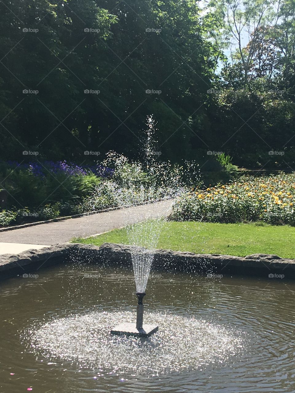 Hazelhead Park Aberdeen