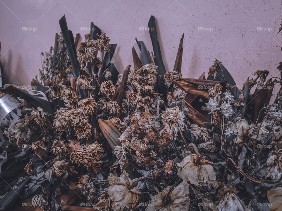 Dead flowers
