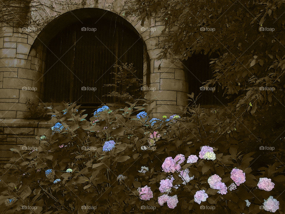 The Vintage Secret Garden