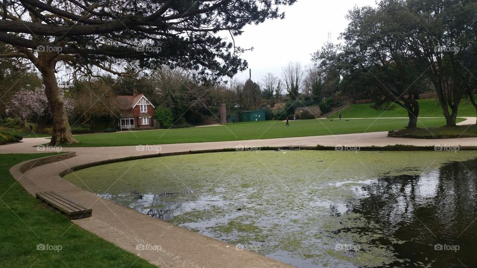 Golf, Tree, Landscape, No Person, Water