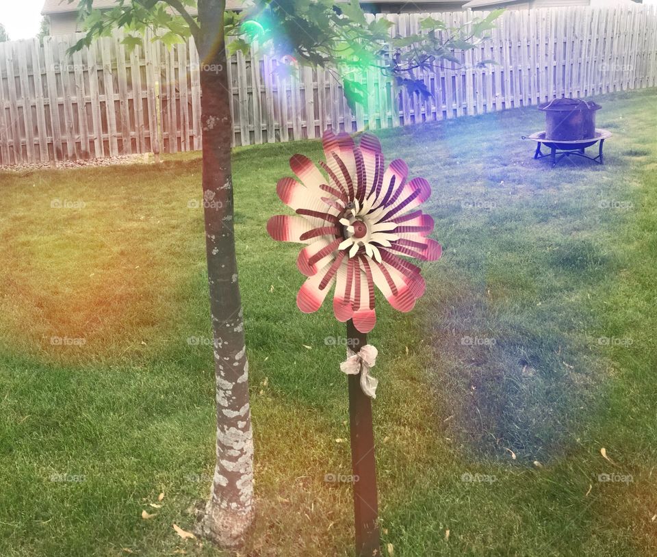 Metal flower with colorful lens flare and tree.