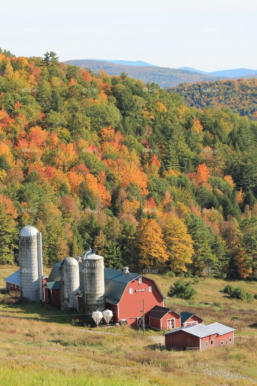 Farm life in New England. A traditional red barn with a backdrop of fall colors on a hillside.
