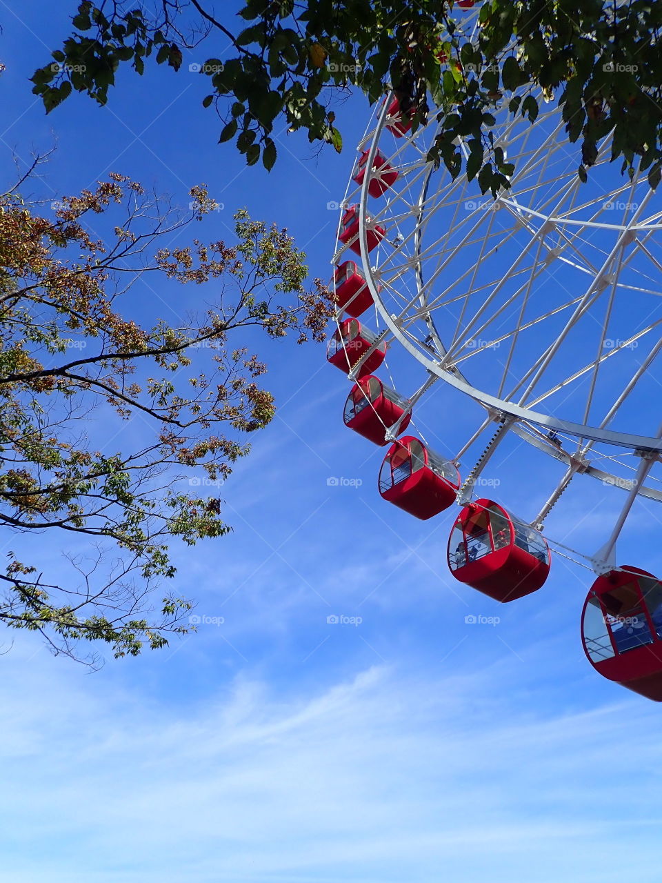 Sky, Fun, Hanging, Blue Sky, Exhilaration