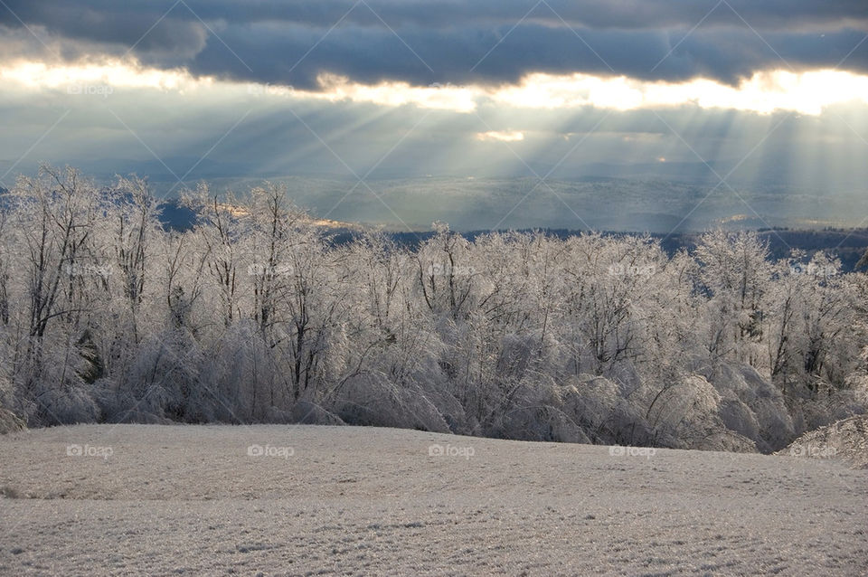 An ice encased field after an ice storm at sunset