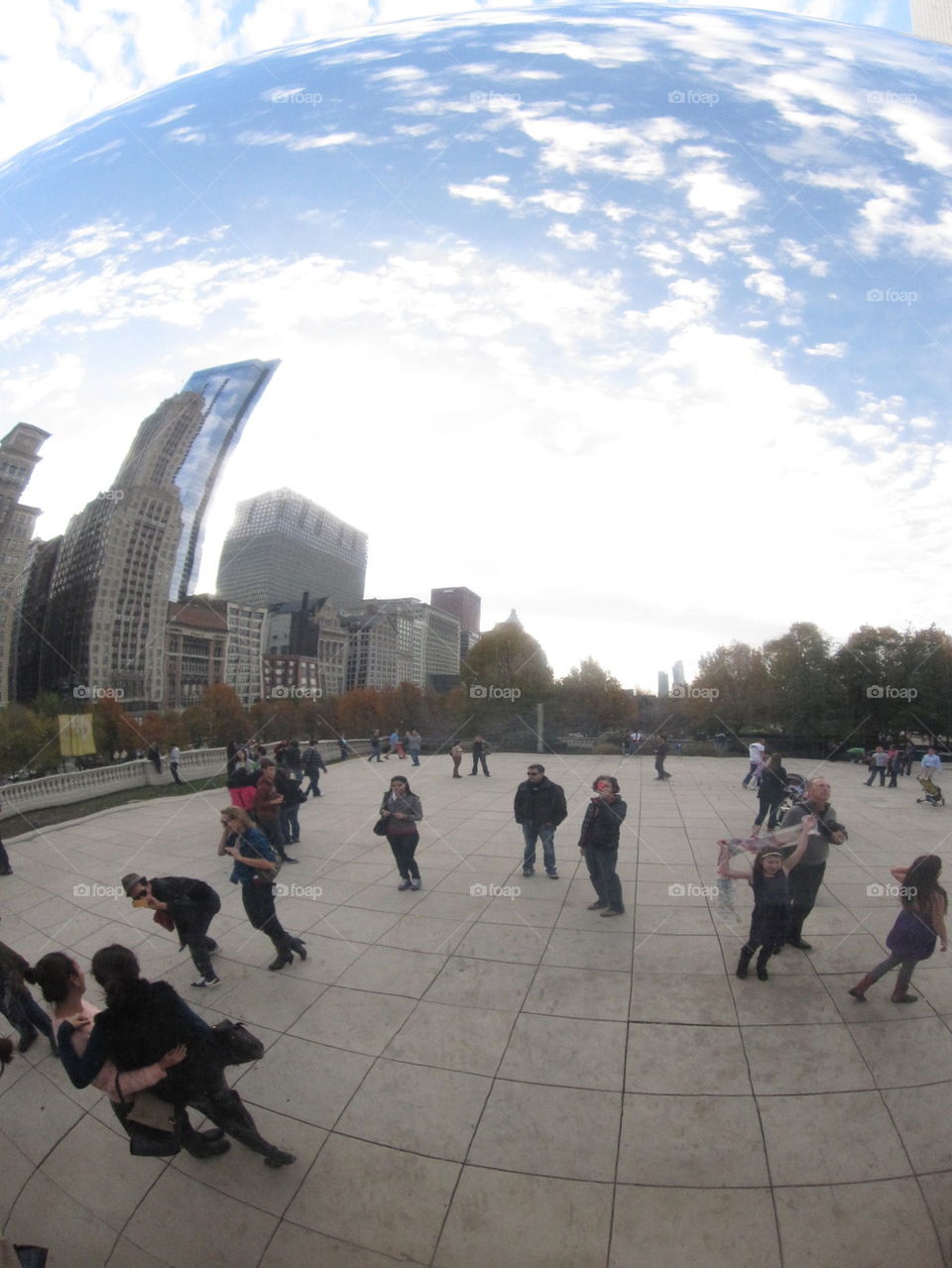 chicago bean