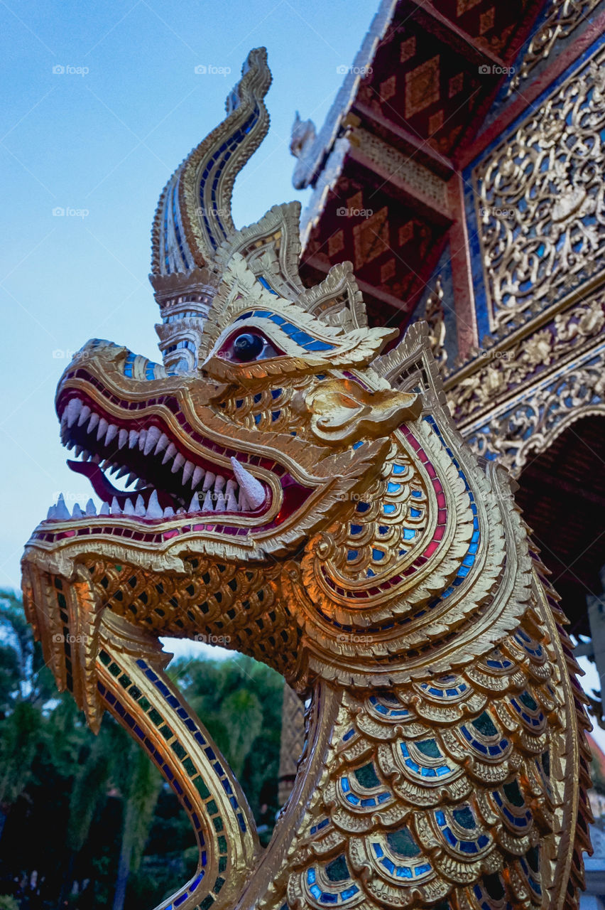 Beautiful gold dragon at temple steps of Wat Phra Singh, Chiang Mai, Thailand 