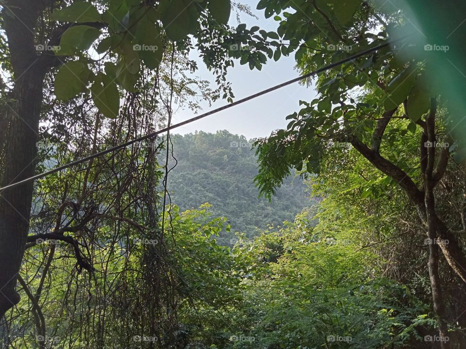 A beautiful garden, must visit