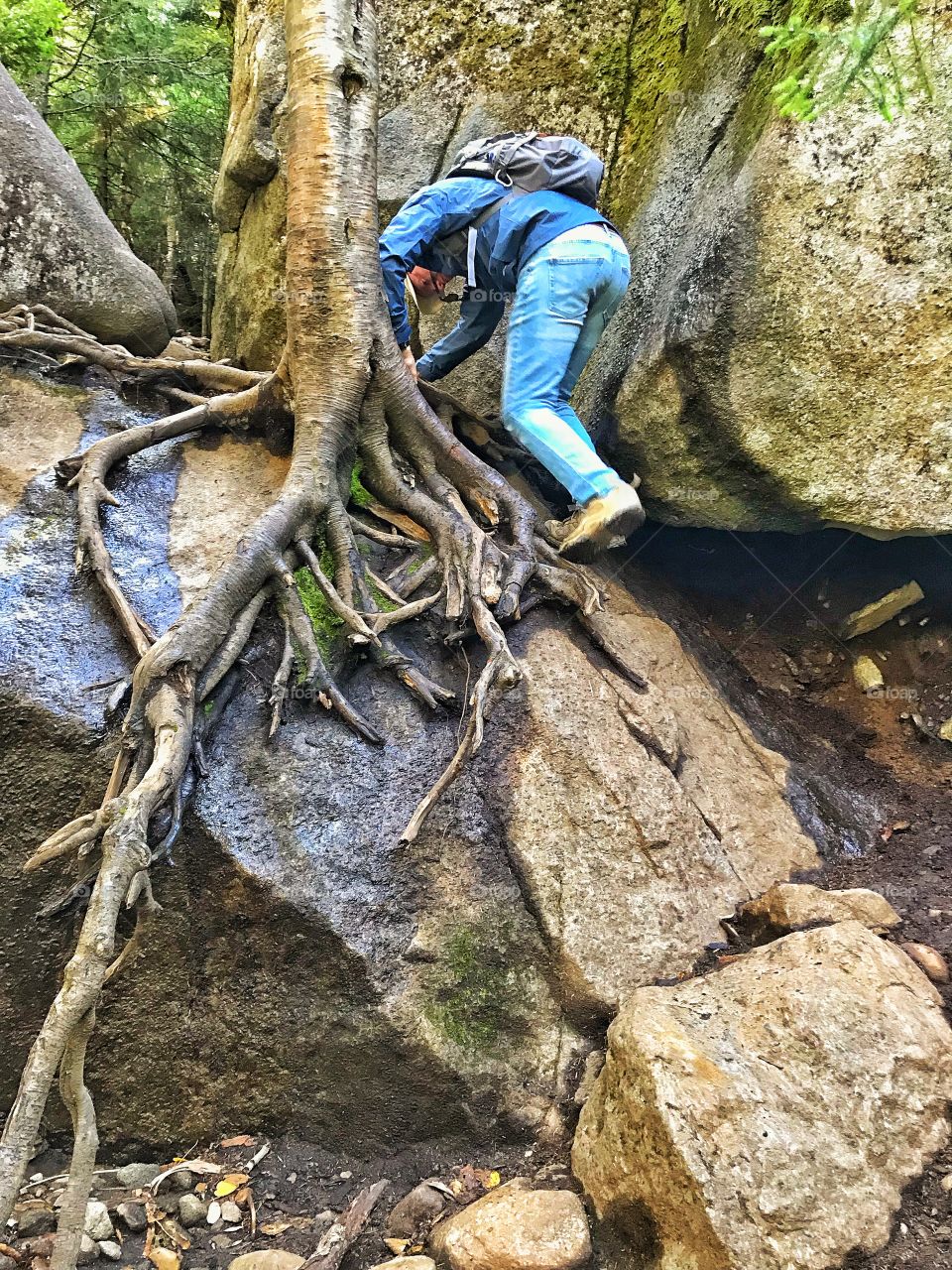 Hiking Ampersand mountain