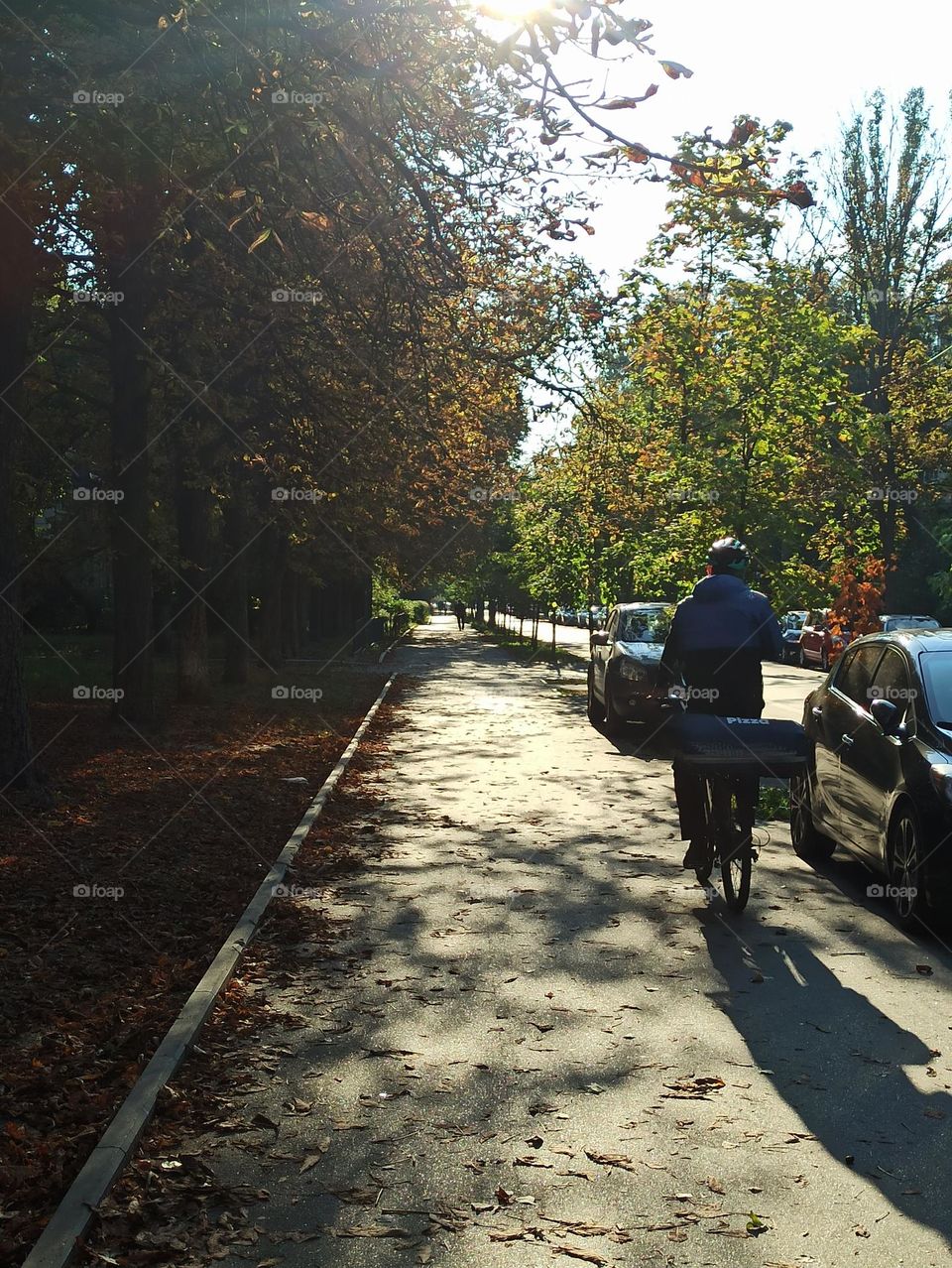 Sunny day. Street in sunlight. Cyclist. Beginning of autumn