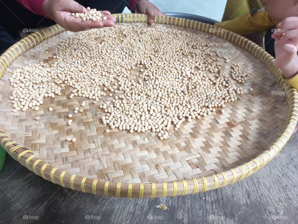 Soybean is a type of legume that is the basic ingredient of many foods from East Asia such as milk, soy sauce, tofu, and tempeh.