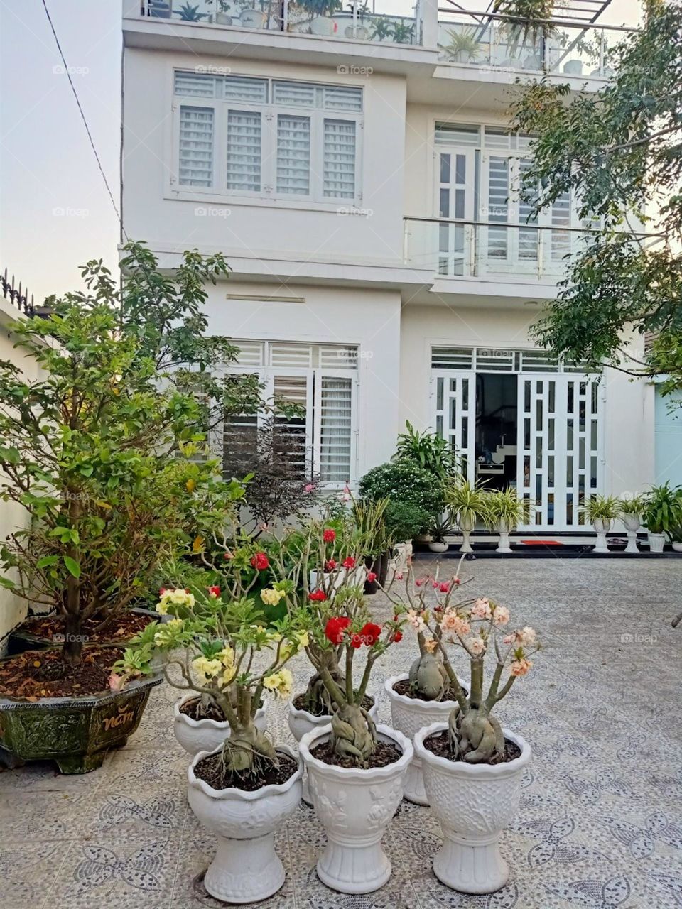 Vườn Hoa nhà Bạn.