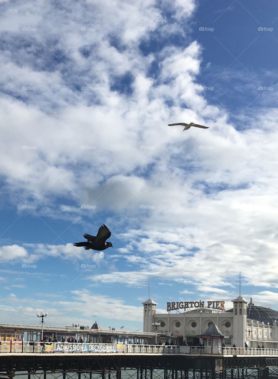 Blue sky and birds above Brighton Pier