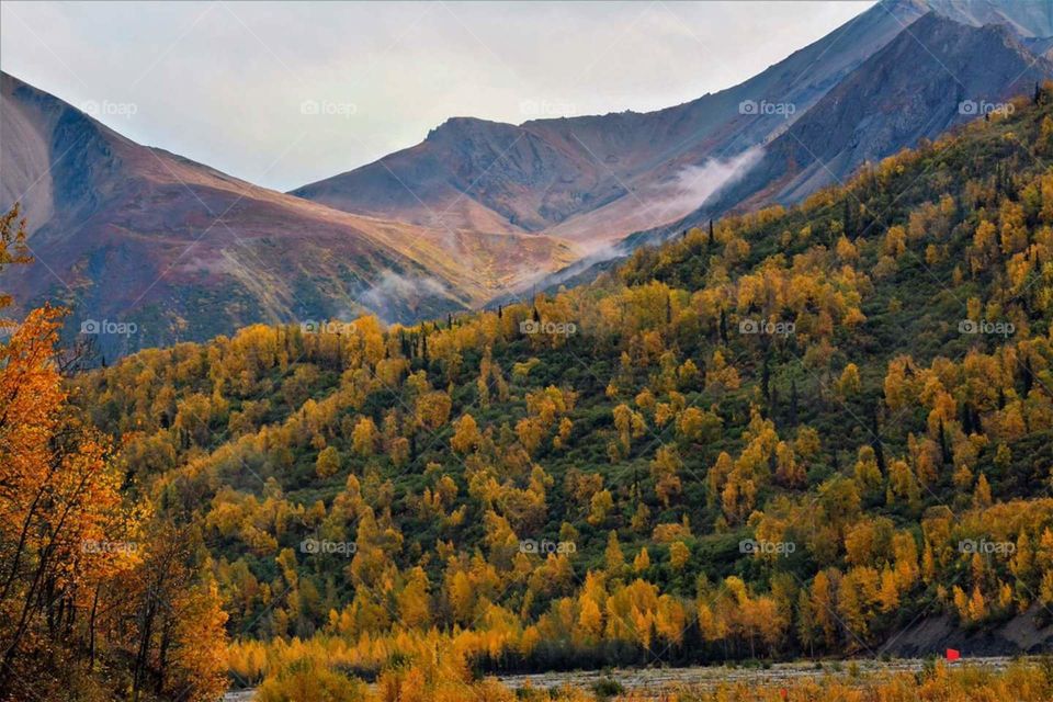 Alaska in fall