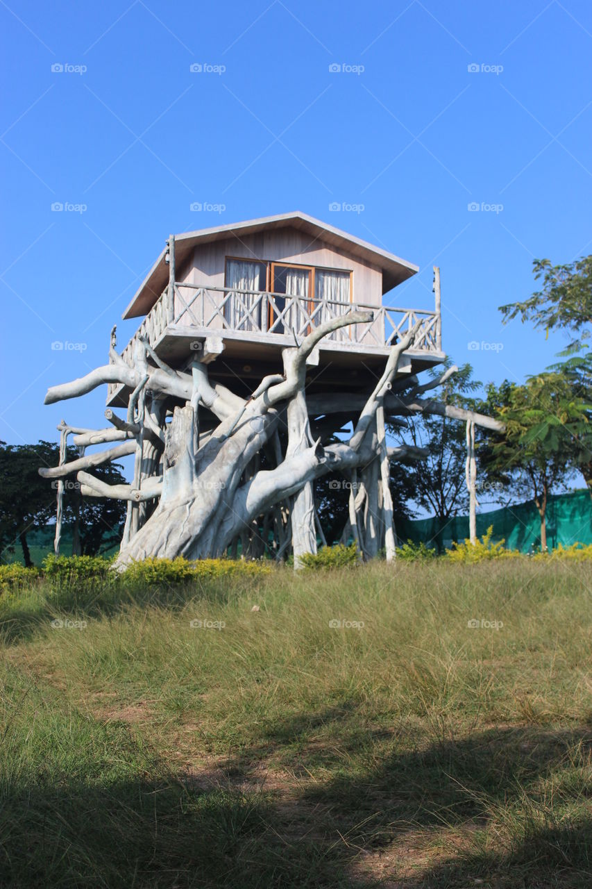 Foap symmetry, Tree House,