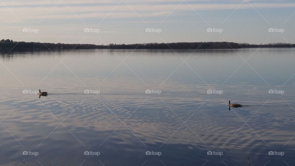 Reflection, Lake, Water, Dawn, River