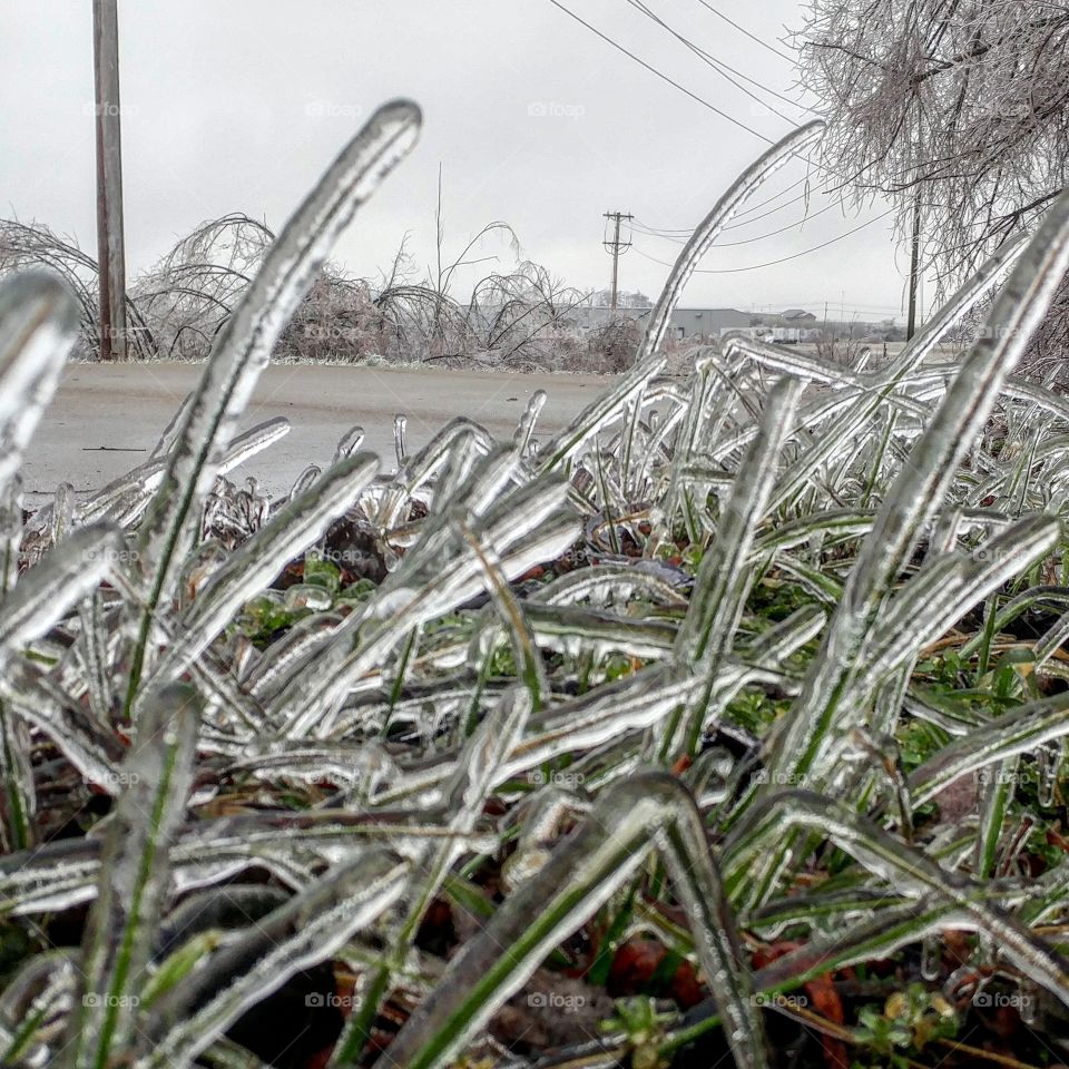 Jan 2017: A winter storm brought 3/4 inch of Ice from freezing rain in Farmington Missouri.