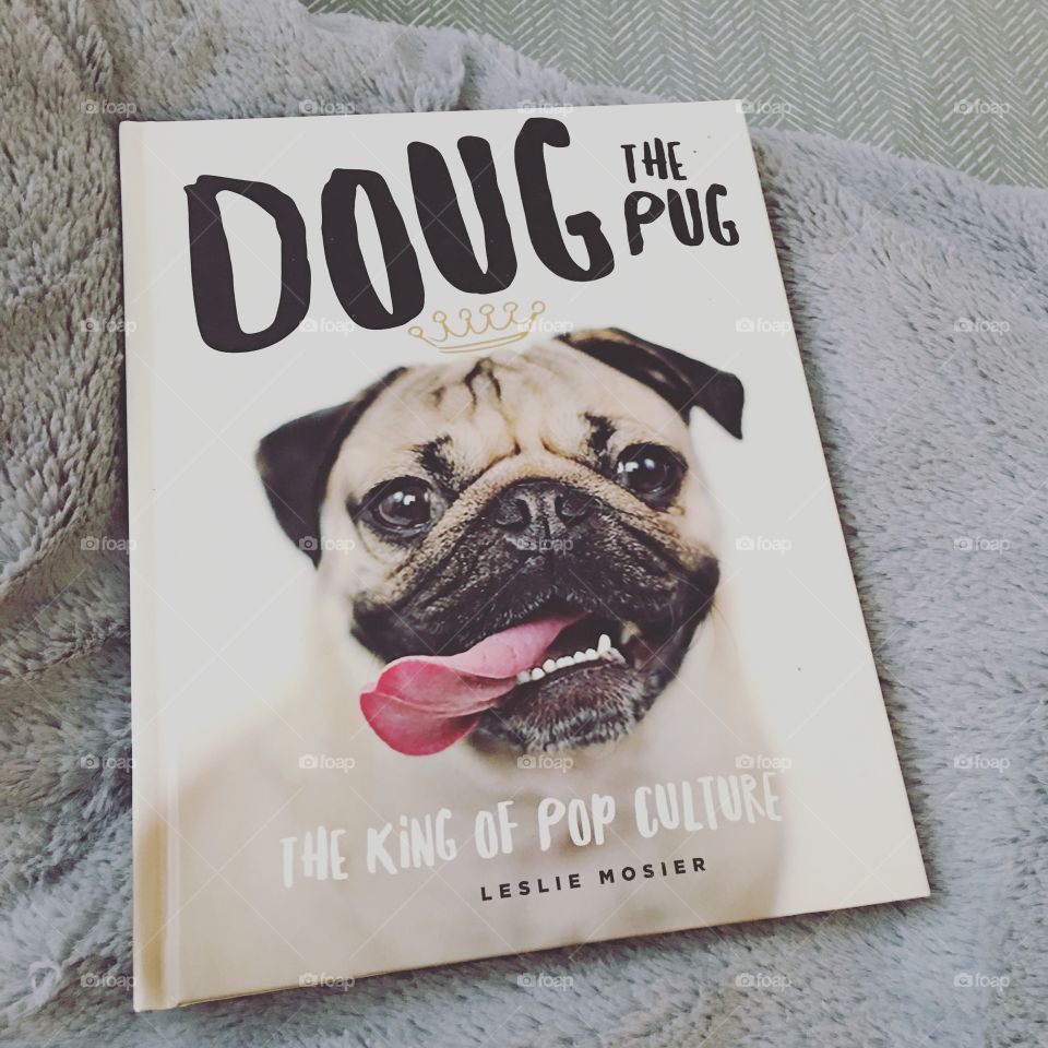 Doug the pug