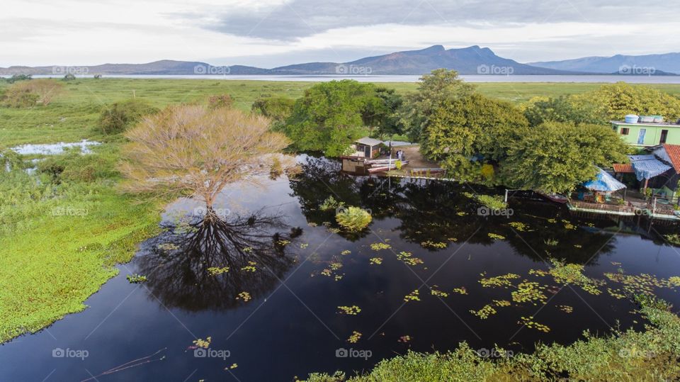 PANTANAL MS BRAZIL