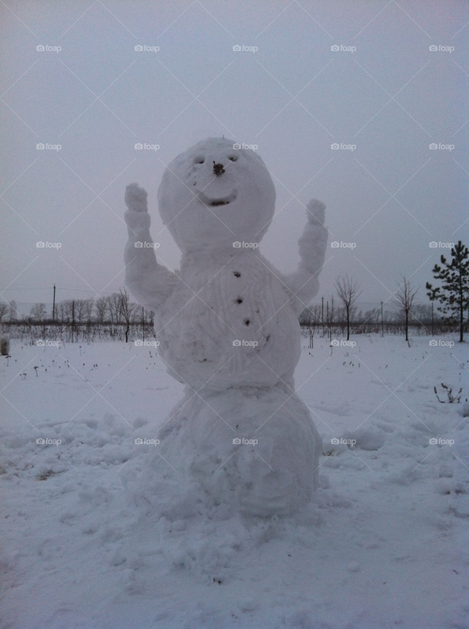 winter snowman by vladi7