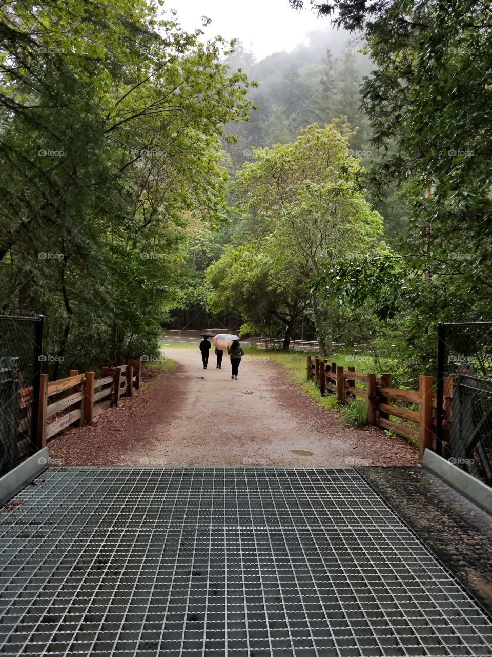 Walking in the rain