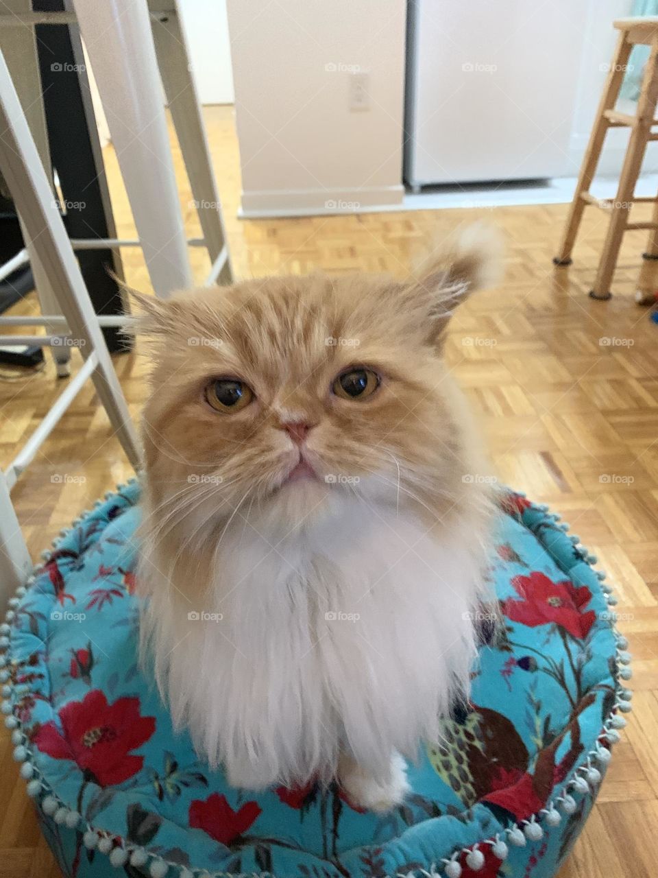 Hey…. pay attention!