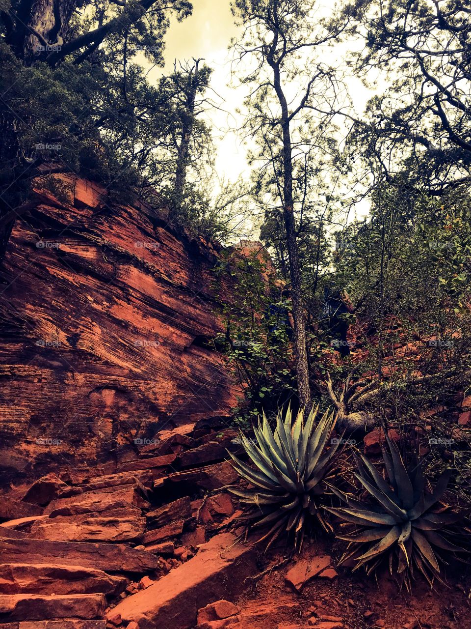 Sedona Arizona 