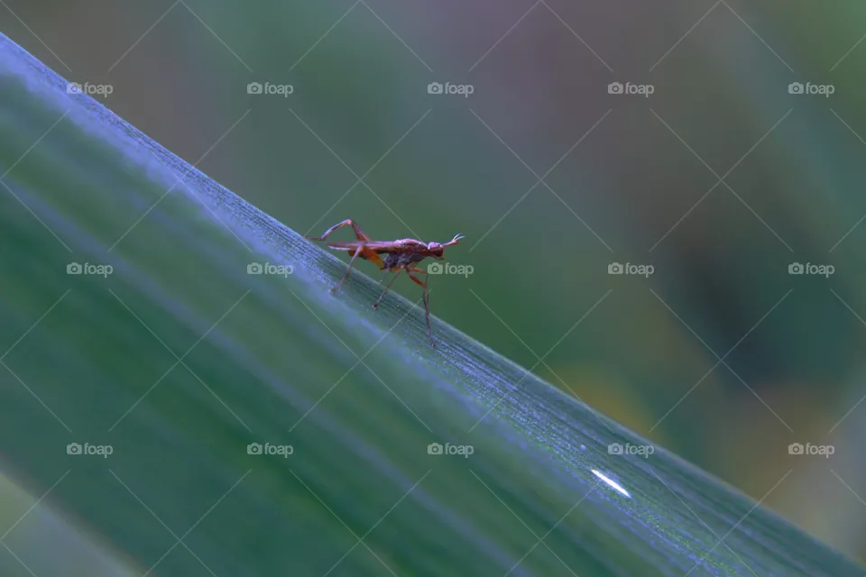 The world in macro