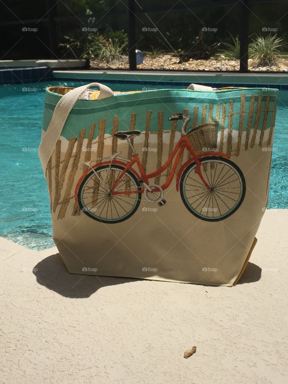 Bicycle tote