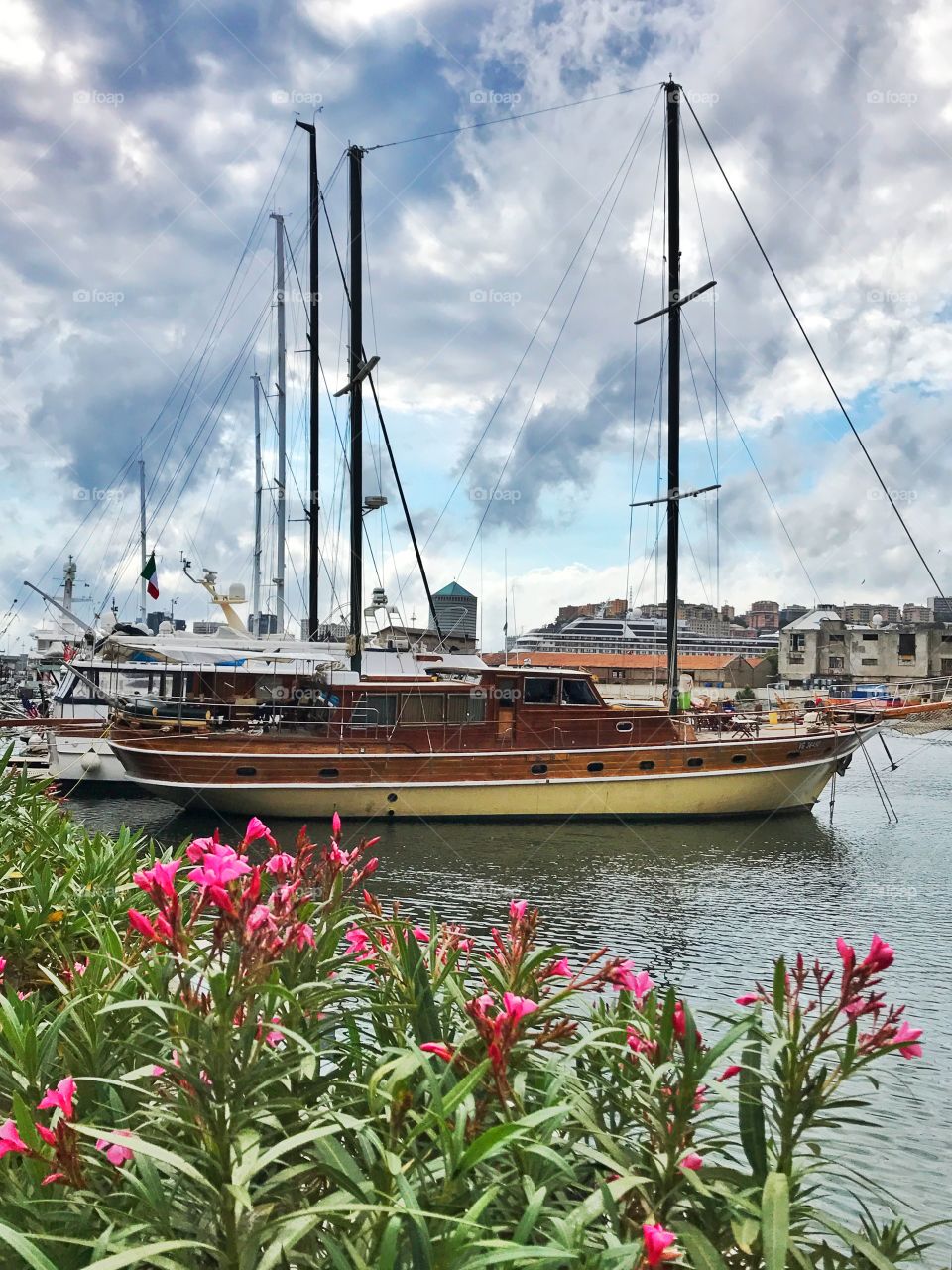 Boats with pink oleander flowers in Genova, Italy