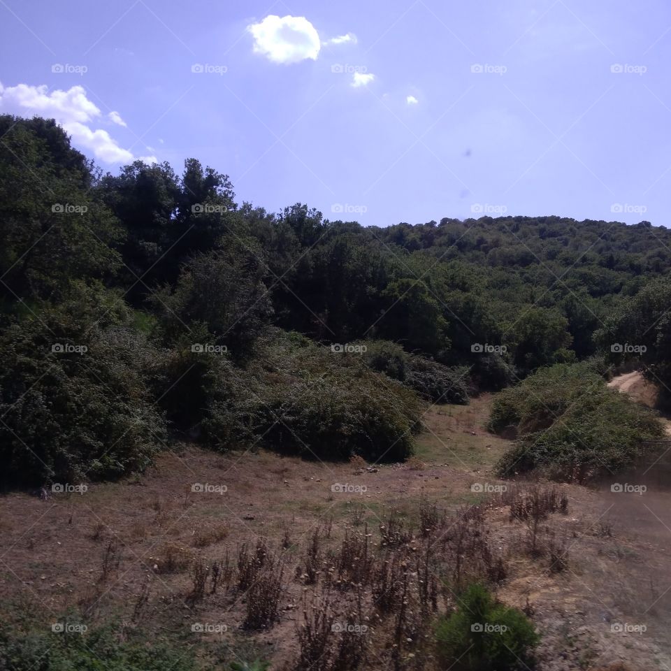 Sardinian countryside