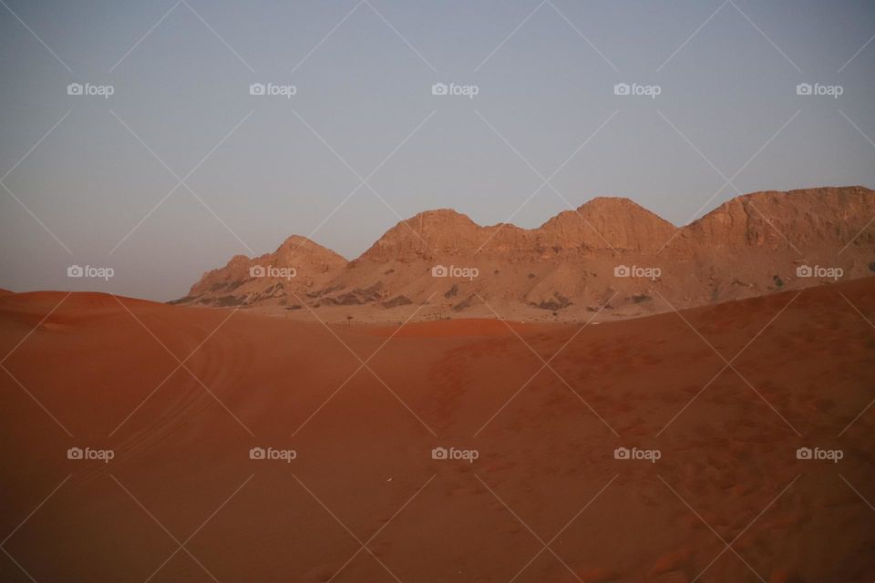 Deser in Dubai 