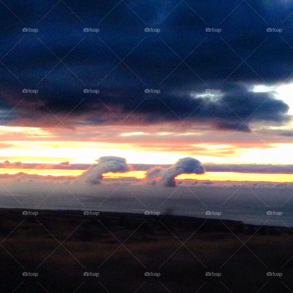 Dolphin clouds. Up high on a mountain looking at the coast, these clouds looked like dolphins. 