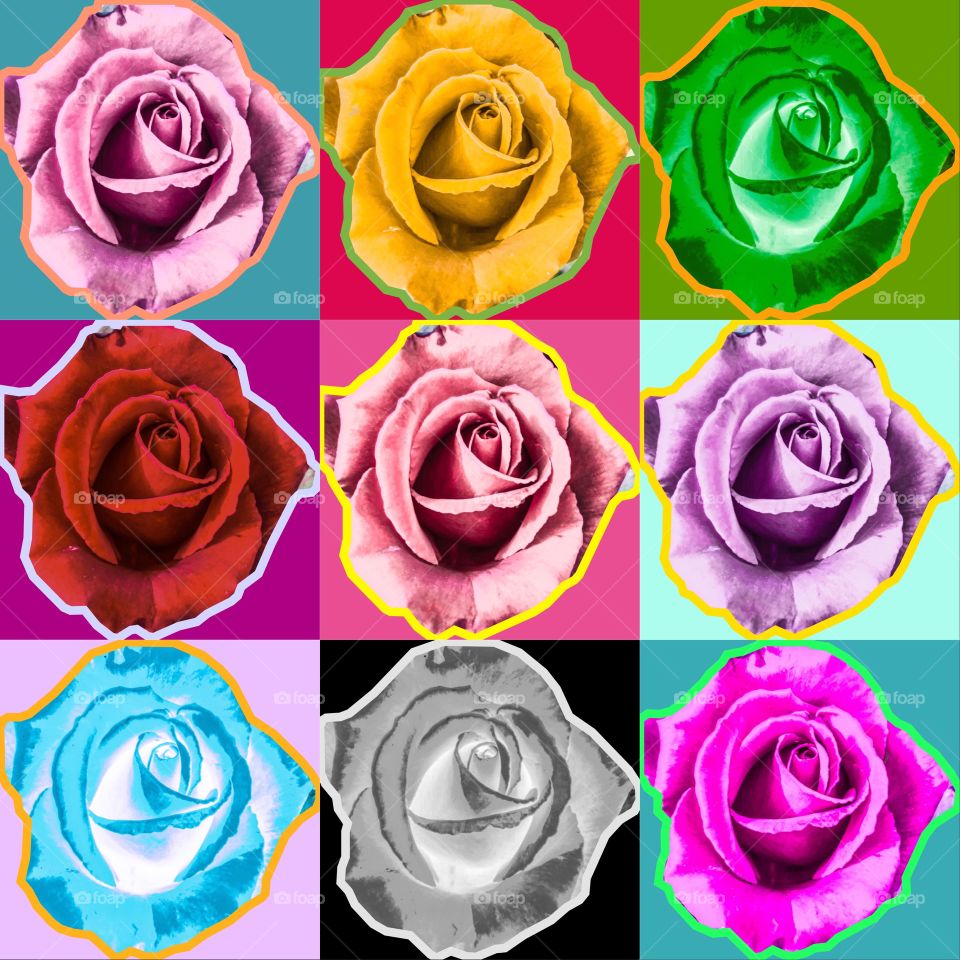 Warholesque portrait of a single rose, using as close as possible to the colours of Andy Warhol’s original portrait of Marilyn Monroe (original red rose photo also available via my Foap profile)