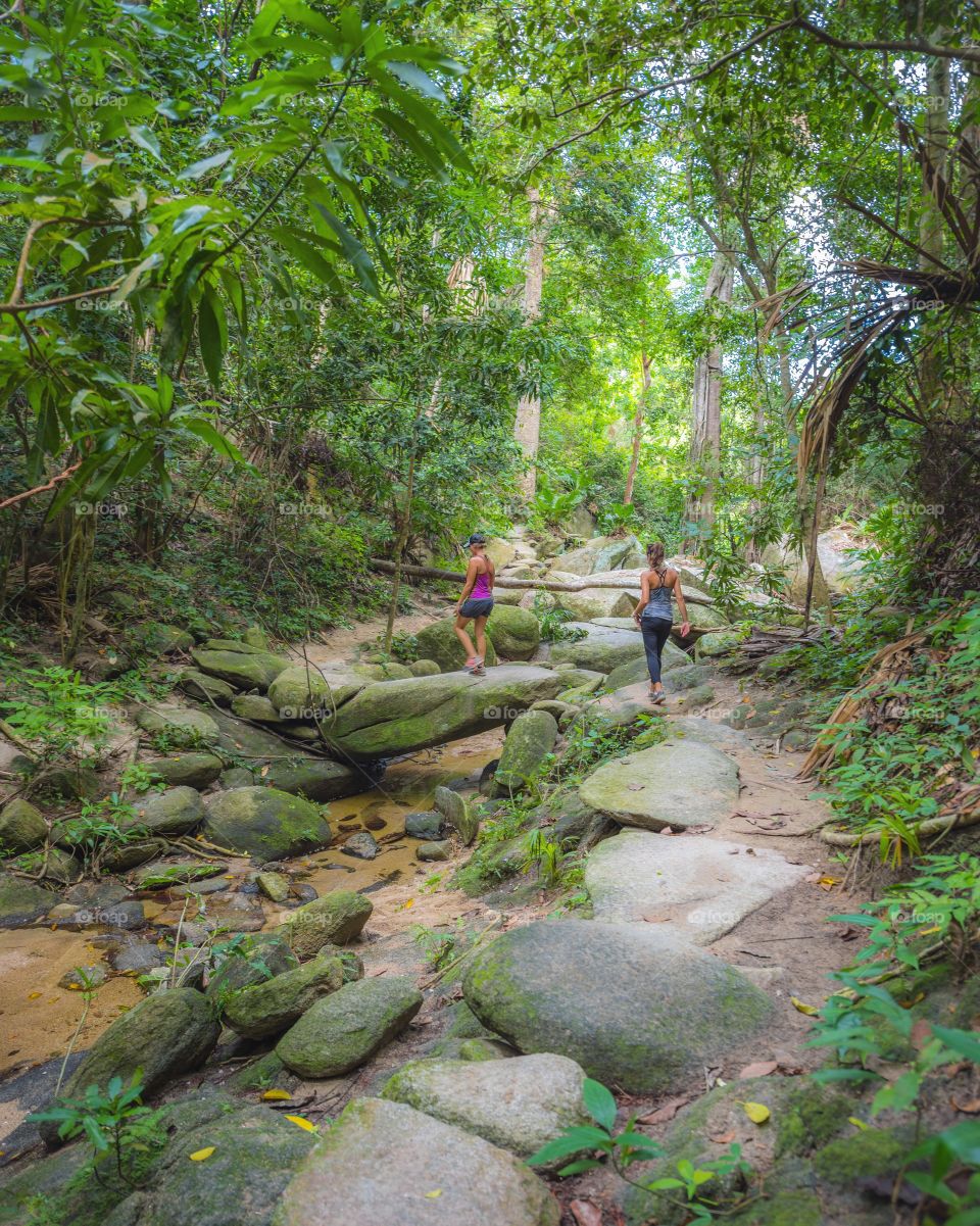 Girls hiking through the jungle