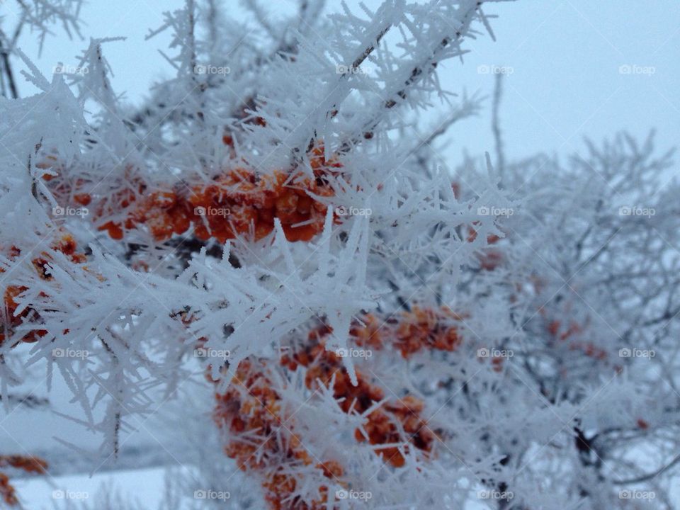 Spikes of coldness