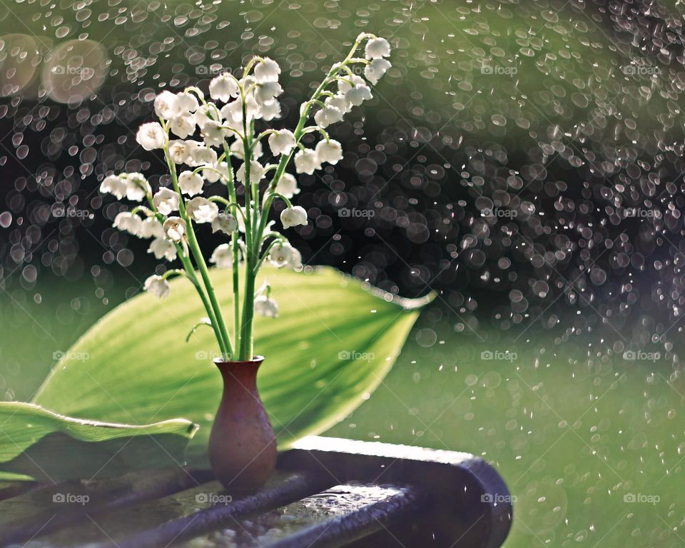spring rain