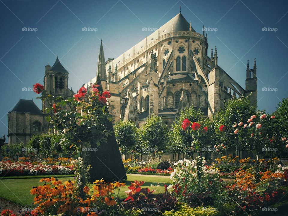 Flower and trees in the garden near church