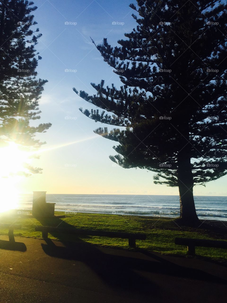 Sunrise in Wollongong . Snapped just as I woke up while camping on the beach in Wollongong Australia 