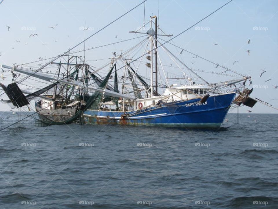 Shrimp boat