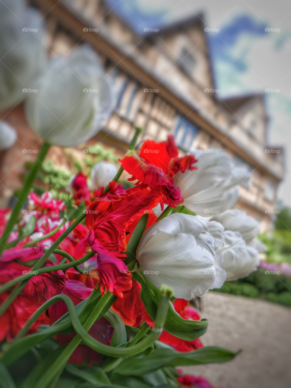 Garden. Stately home