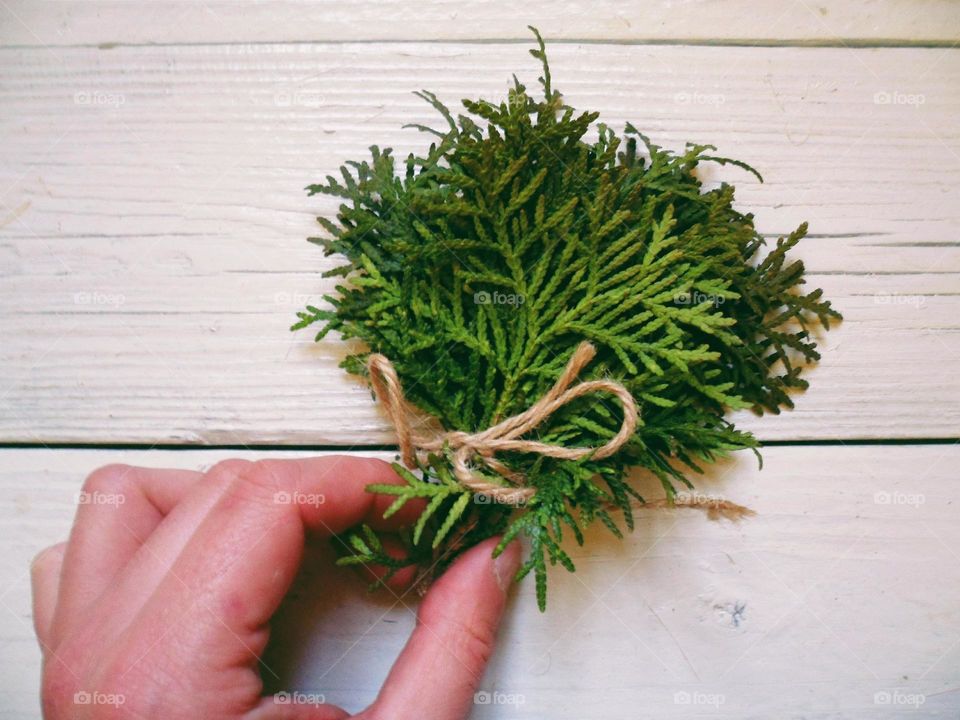 Fir branches on table